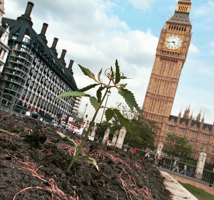 Guerilla Gardening - Parliament Square, London, May Day 2000